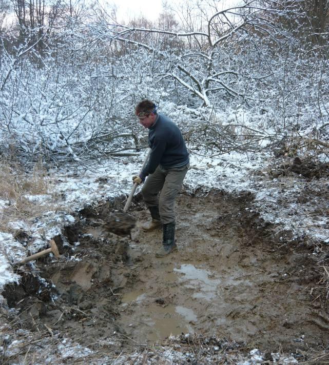 2. Péče o biotopy ohrožených druhů (managementová opatření) Na podzim 2010 byl zahájen management části lokality, v ploše horního historického rybníka a těsně nad ním.