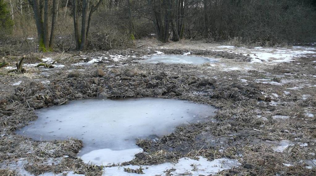 Cíl péče a plánovaná činnost Cílový stav Zachování a zejména podpora populací zvláště chráněných a vzácných druhů rostlin a živočichů zajištěním vhodné péče o jejich biotopy v nivě potoka Okrouhlík