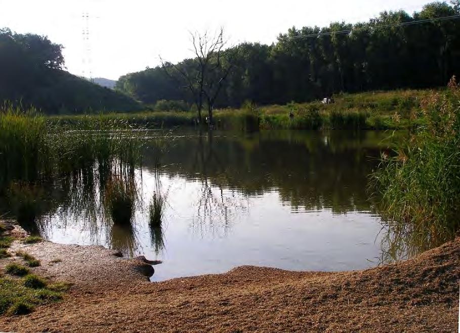 Obr. 2. Lok. 1: rybník u Štěpánova s přirozenými pobřežními porosty, využívaný k rybaření. Fig. 2. Locality 1: Fishpond near Štěpánov with natural littoral vegetation, used to fishing.