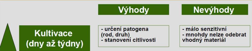 PŘÍMÝ