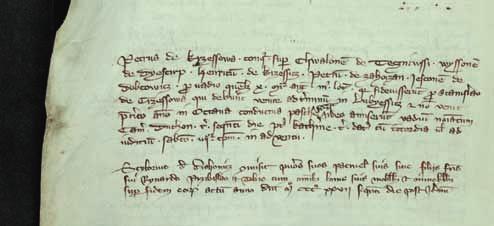 Je tedy zfiejmé, Ïe v tomto roce jiï Zahofiany urãitû existovaly a byly lechtick m sídlem. V roce 1541 vypukl v Praze velk poïár, pfii kterém vyhofiel i archiv v ech Desek zemsk ch z let 1260-1541.