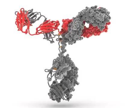 Přírodní kopolymery proteiny: specifická struktura -> specifická fce NA: