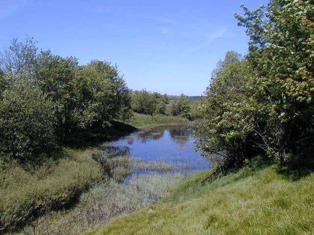 V - VODNÍ TOKY A NÁDRŽE Přírodní park