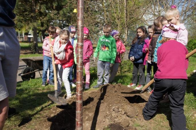 VZPOMÍNKA NA SÁZENÍ Naše škola se jako každý rok zúčastnila