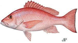 mořským jídlem - ovlivní cca 50 000 lidí ročně - ciguatoxin Gambierdiscus,