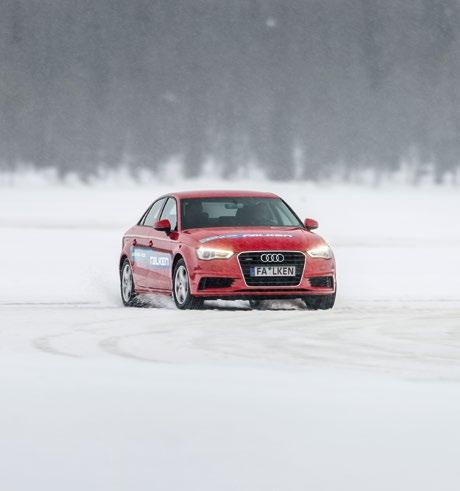 v profesionálním motorsportu.