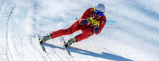 ALPINE / SNOWBOARD ZÁVODNÍ PILNÍKY CHROMOVÉ Tradiční velmi ostré pilníky s chromem na úpravu lyží. Hodí se jak do servisního centra tak do domácí dílny.