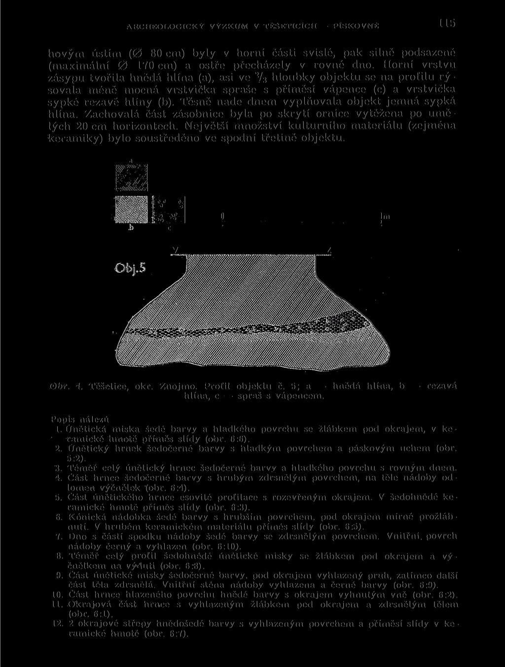 ARCHEOLOGICKÝ VÝZKUM V TÉSETICÍCH PtSKOVNE 115 hovým ústím (0 80 cm) byly v horní části svislé, pak silně podsazené (maximální 0 170 cm) a ostře přecházely v rovné dno.