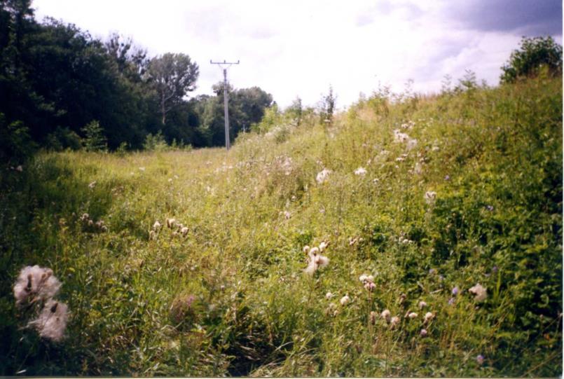 Břehy řek