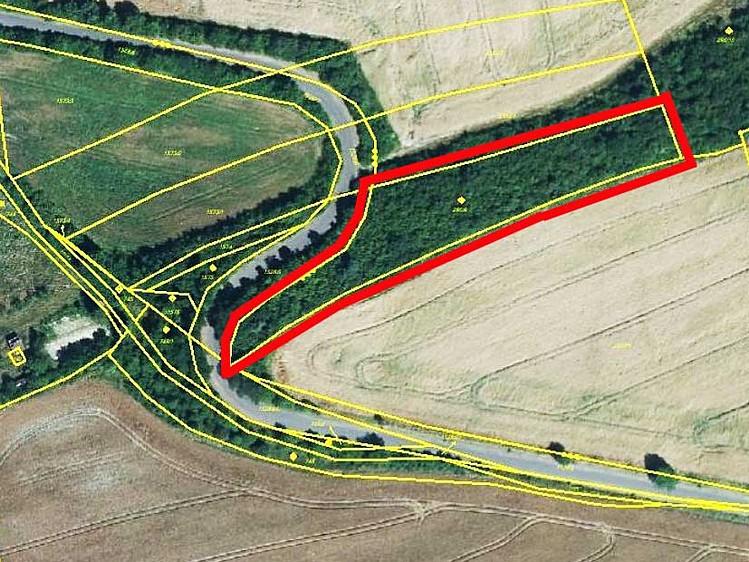 Název: Lokalita: Popis: Prodej lesa 3 970 m2 Opočno, okres Louny Pozemek parc.č. 290/9 v k.ú. Opočno u Loun porostlý vzrostlými stromy. Nejedná se o les, jde o lesní porost na nelesním pozemku.