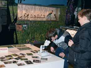 Zájemci měli možnost prohlédnout si zdarma přírodovědné expozice, ale také krátkodobé výstavy, které byly v tom čase v muzeu k dispozici.