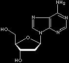 Deoxyadenosine Fludarabine