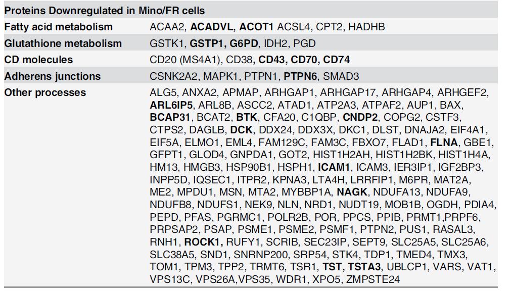 Proteins downregulated in Mino/FR Bruton