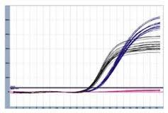 TaqMan Low Density