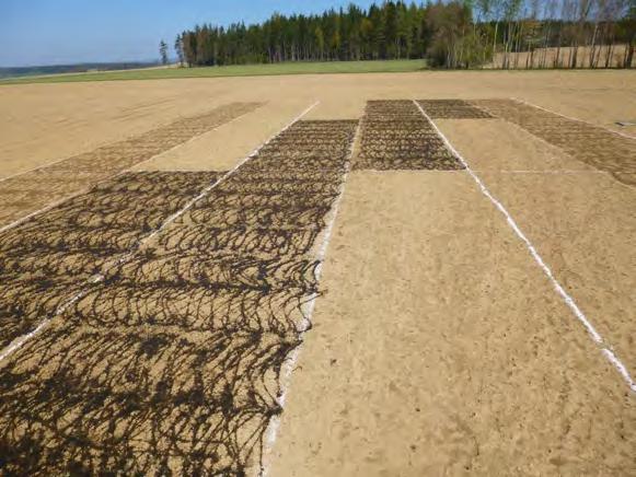 Hnojení brambor: tekutá hnojiva Laboratorní výsledky Typ hnojiva Sušina OH N/s P/s K/s % %