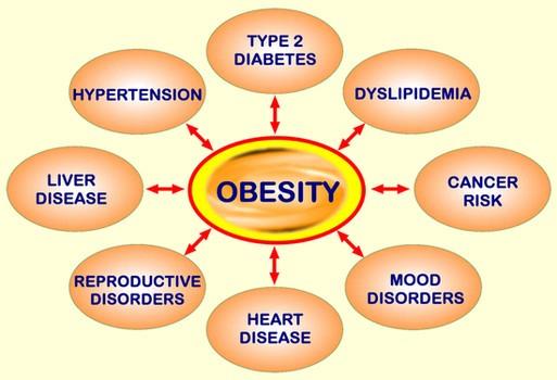 Etiopatogeneze obezity: HYPOTALAMICKÉ, ENDOKRINNÍ A GENETICKY PODMÍNĚNÉ ONEMOCNĚNÍ Vyvážení prostých energetických hodnot neznamená efektivní změnu ve zvýšeném ukládání tuku K nerovnováze přispívá