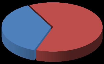 07. 2017 2,13% 15,25% 70,64% 63,47% 11,65% 0,33% Běžný účet Státní bezkupónové dluhopisy a cenné papíry Dluhové cenné papíry Akcie, podílové listy Ostatní aktiva 36,53% Běžné účty