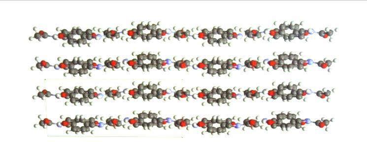 molecules Polymorphism