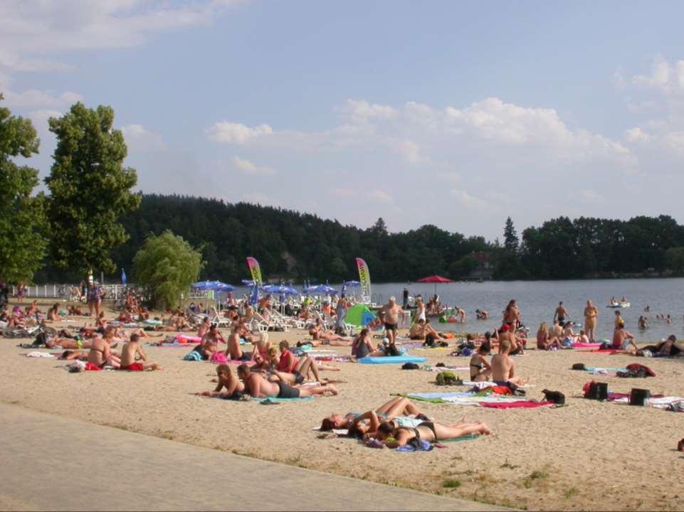 Děkujeme za pozornost Vznik příspěvku byl podpořen v rámci MZ ČR RVO (( SZÚ,