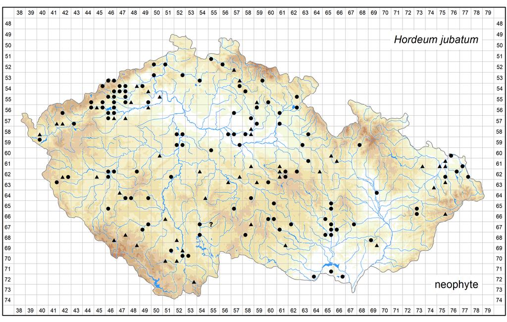 Distribution of Hordeum jubatum in the Czech Republic Author of the map: Michal Ducháček Map produced on: 26-10-2018 Database records used for producing the distribution map of Hordeum jubatum