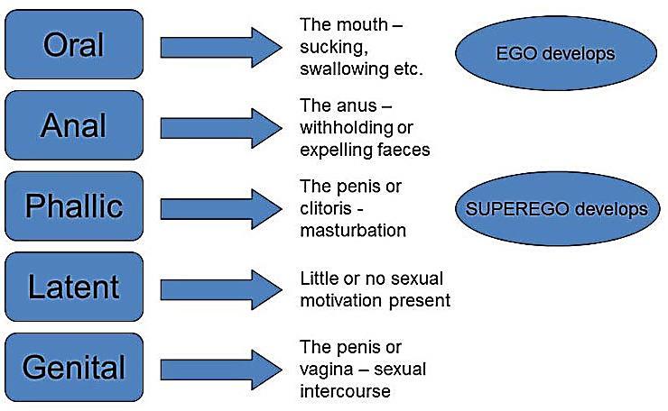 Orální fáze 0 1 rok sání, polykání Anální fáze 1-3 roky zadržování a vypuzování Falická fáze 3 5 6 let masturbace Latentní fáze 5