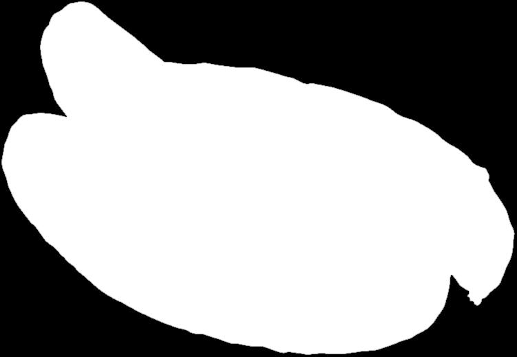 medvědím