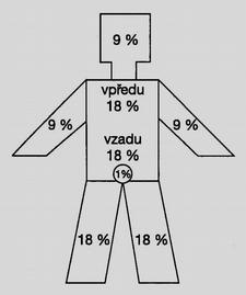 18 %, zadní ploiha trupu 18 %, jedna horní končetna 9 %, jedna dolní