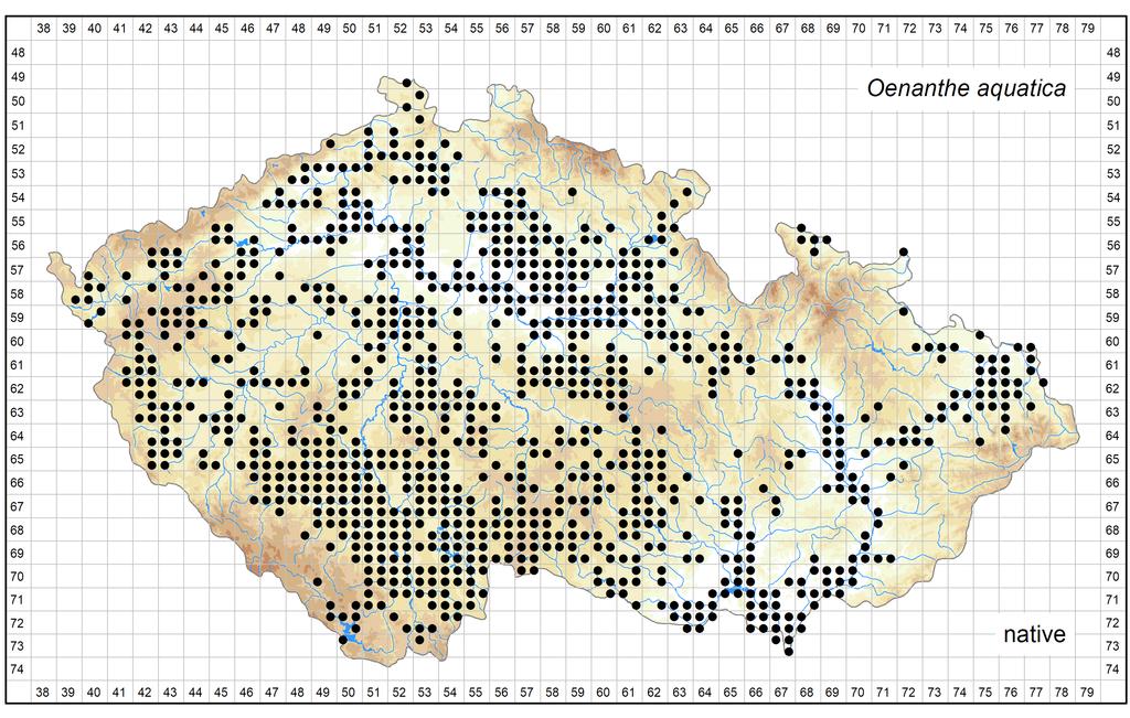 Distribution of Oenanthe aquatica in the Czech Republic Author of the map: Jan Prančl Map produced on: 08-08-2017 Database records used for producing the distribution map of Oenanthe aquatica