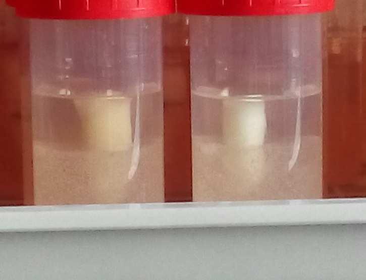 Testované látky LPPOs DR-6487 MBC; 10x MBC Corsodyl(chlorhexidine) 0,001% chlorhexidine