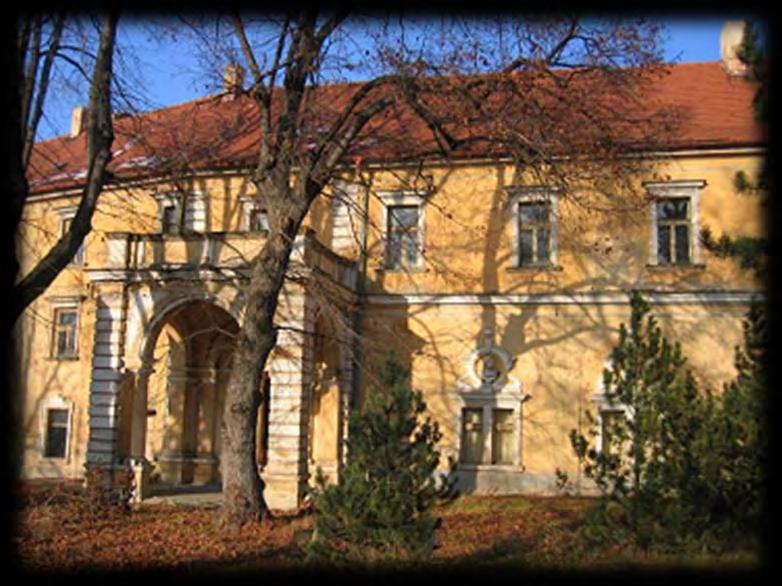 Novodobá historie Po rodu Kinských se zámku ujal František Toman, který jej přebudoval v jednopatrovou obytnou budovu s