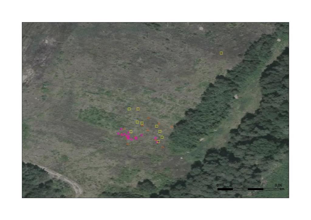 Obr. 12: Výskyt Lipars loeselii na lokalitě NPP Jestřebské slatiny Shnilé louky v letech 2014 2016, 2014 žlutý čtverec, 2015