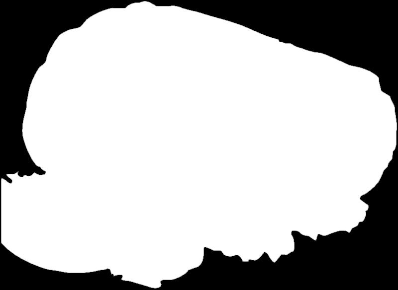 = 4,38 Kč) Penam
