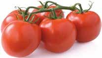5,97 Kč) Bidfood