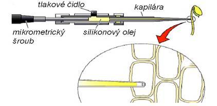 Existuje i řada starších metod, které se dnes používají zřídka. Patří k nim např.