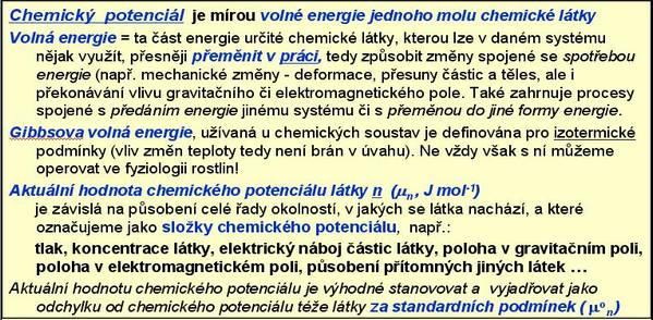 Příjem a transport vody Voda je základní složkou všech živých rostlin, nutnou pro udržení jejich struktur i funkcí.