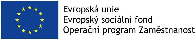 Radou města České Budějovice dne 25. února 2019, usnesením č. /2019 3.