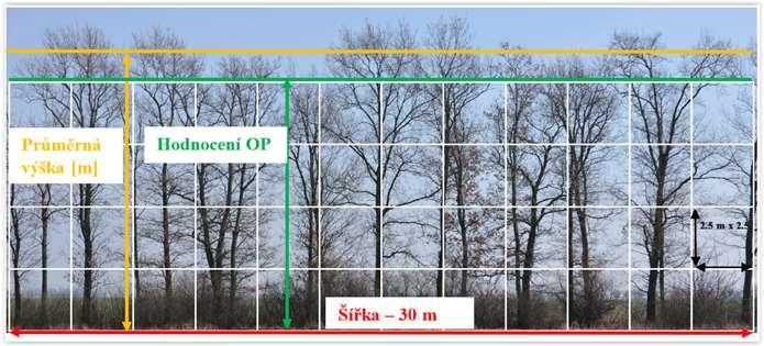 Stanovení OP větrolamů pozemní fotogrammetrickou metodou hodnocení fotografie representativního úseku