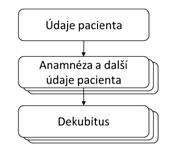 DOPORUČENÍ PRO HODNOCENÍ JEDNOTLIVÝCH SLEDOVANÝCH PARAMETRŮ v péči o pacienty s dekubity Přehled struktury dat: Formulář: Údaje pacienta Formulář: Anamnéza a další údaje pacienta Dokumentace pacienta