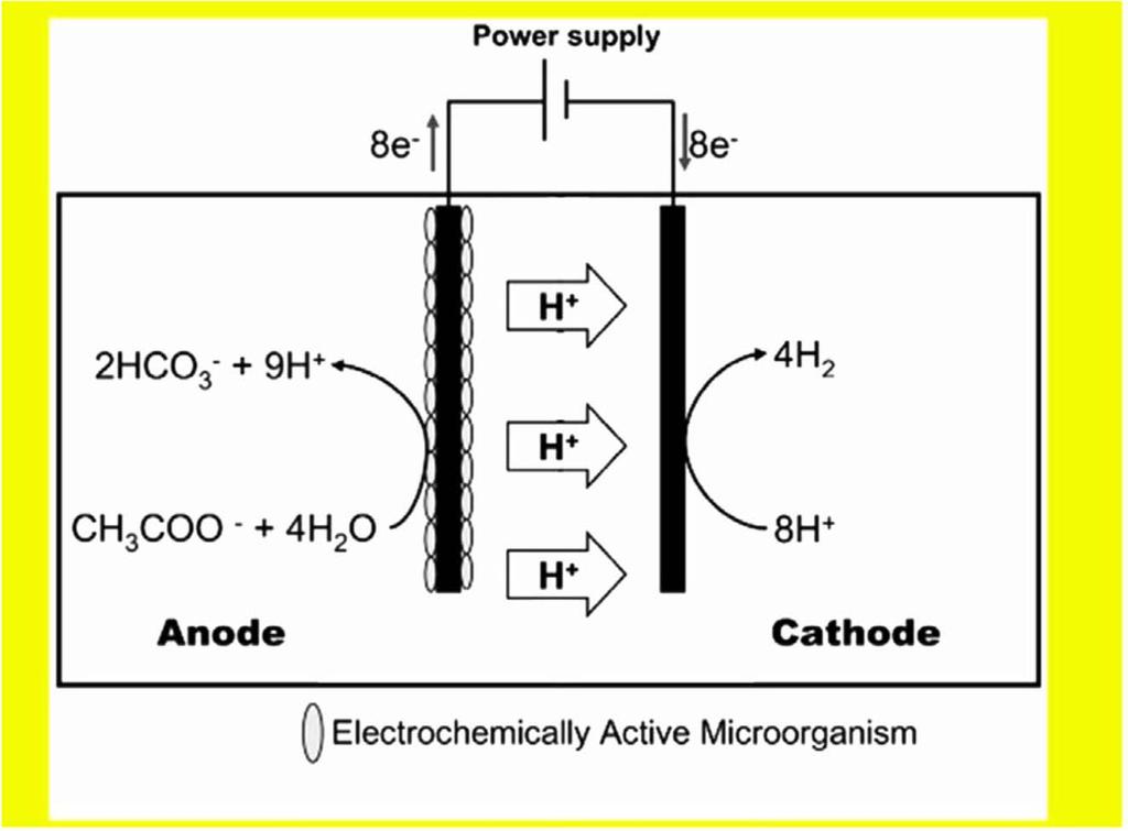 Schematic diagram of a