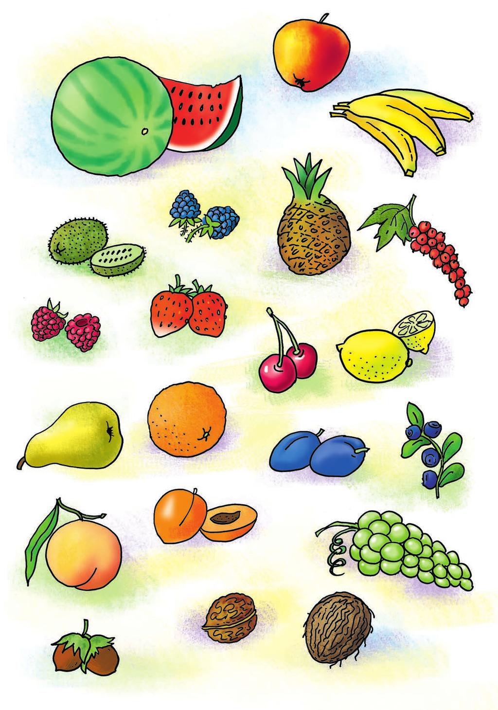 Ovoce - Fruits [fru:ts] jablko an apple [ pl] banán a banana [bə'na:nə] meloun a water melon [wo:tə melən] ananas a pine-apple [pain pl] rybíz červený a red currant [red karənt] kiwi a kiwi fruit