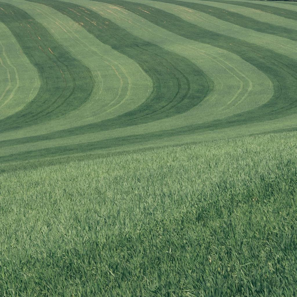 naše historie a současné aktivity na farmě Farma Velké Hostěrádky vznikla částečnou revitalizací zemědělského brownfieldu v roce 2007 jako ojedinělý projekt několika průkopníků ekologického