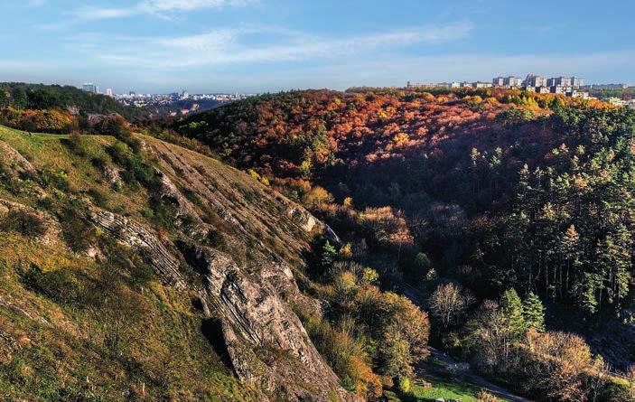 V nabídce jsou promyšlené dispozice větších rodinných bytů 3+kk a 4+kk, které kromě dostatečného prostoru poskytnou i velkorysé terasy.