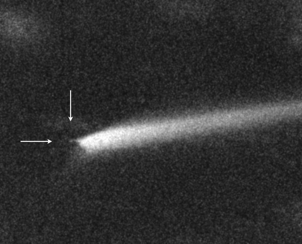 7 Vyhledávací mapka pro kometu C/2009 R1 McNaught. míjí hvězdu delta Persei s hvězdnou velikostí 3 mag. Sama kometa by měla být jen o magnitudu slabší. Dne 21.