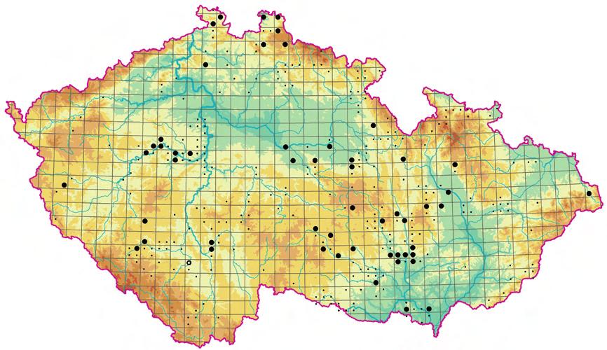 Vegetace skal, zdí a stabilizovaných sutí (Asplenietea trichomanis) Obr. 229.