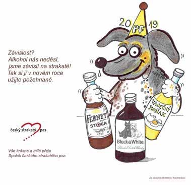 úvodník Ze Setkání si tě nepamatuju... Nabízíme vám ohlédnutí za uplynulým půlrokem s českými strakatými psy v šestadvacátém vydání Strakatého e-zpravodaje.