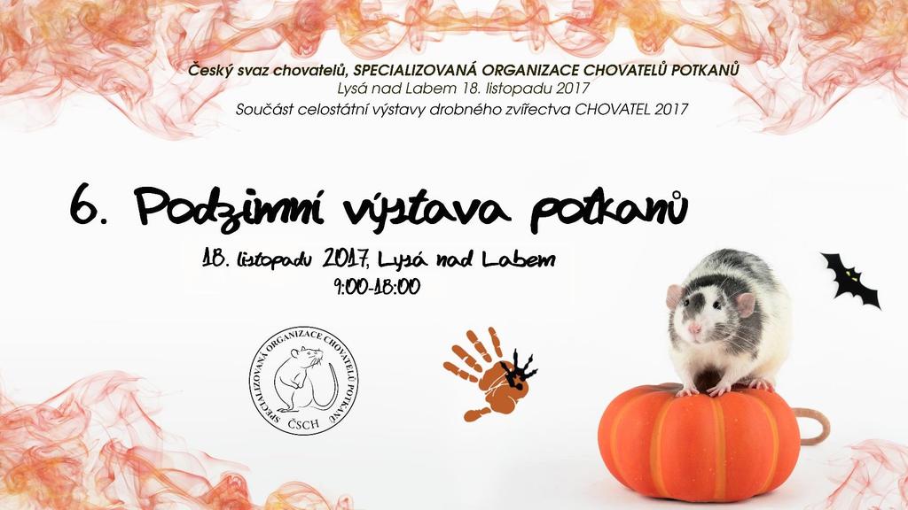 Rádi bychom Vás pozvali na tradiční podzimní výstavu potkanů, která se bude konat 18. 11.