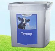 FOS Trycop proti kryptosporidiím Protilátky na podporu trávicího systému telat, jehňat a kůzlat FOS TRYCOP: zvyšuje imunitu; podporuje fyziologický stav střevního traktu; omezuje výskyt průjmů.