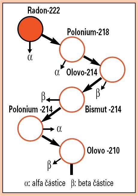 německým vědcem Frederickem Dornem. Radon nemá žádný stabilní izotop, v současné době je známo asi dvacet nestabilních izotopů radonu. Radon vzniká radioaktivním rozpadem radia a uranu 3.