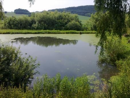 Lašovice Zdroj: www.mapy.