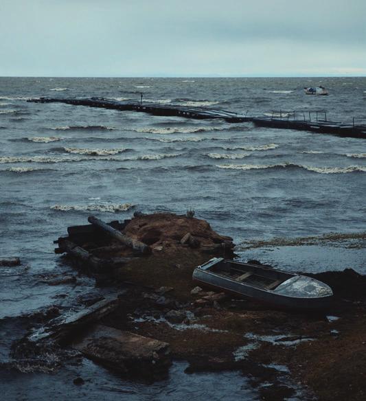 V několika posledních letech jsme spolupracovali s Coral Restoration Foundation na obnově korálů, s Pelagios Kakunjá na ochraně ohrožených druhů žraloků a s aktivisty, kteří se snaží získat status